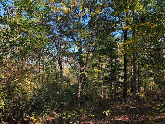 5061 Donnan Rd, Macon, GA 31217 - Photo 3