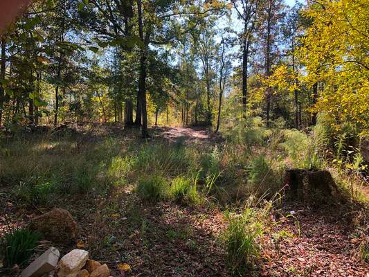 5061 Donnan Rd, Macon, GA 31217 - Photo 4