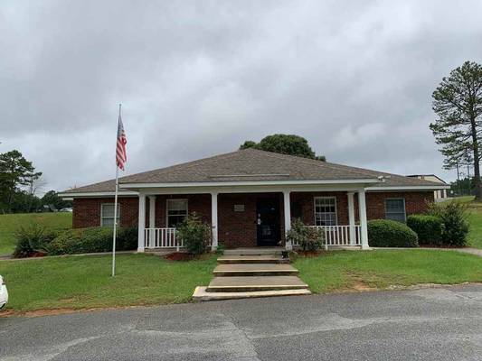 211 Goose Hollow Road, Reynolds, GA 31076 - Photo 1