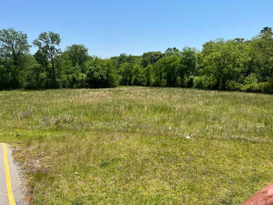 501 E Hancock Street, Milledgeville, GA 31061 - Photo 3