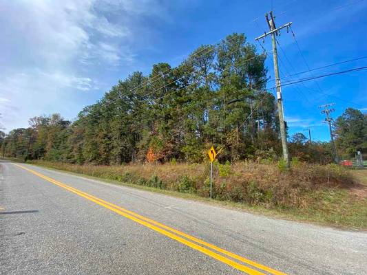  Lite-N-Tie Road, Macon, GA 31211 - Photo 2