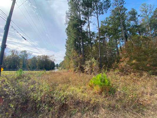  Lite-N-Tie Road, Macon, GA 31211 - Photo 4