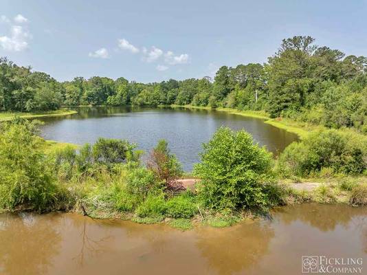 7359 Thomaston Road, Macon, GA 31220 - Photo 6