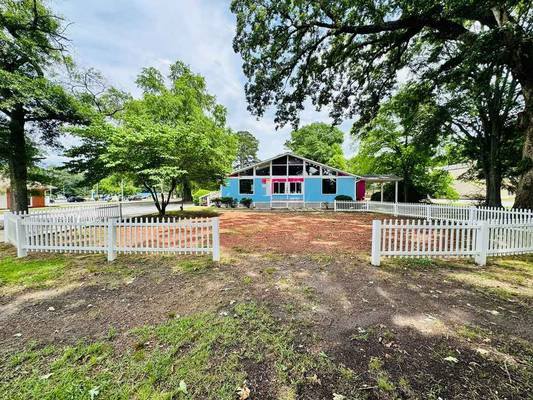 685 N Jeff Davis Drive, Fayetteville, GA 30214 - Photo 2