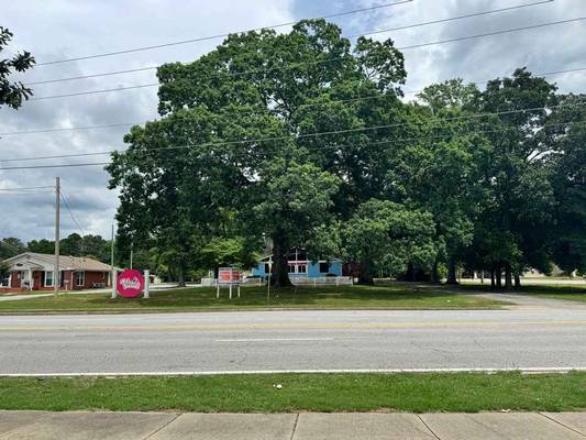 685 N Jeff Davis Drive, Fayetteville, GA 30214 - Photo 3