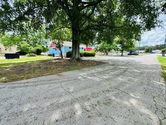 685 N Jeff Davis Drive, Fayetteville, GA 30214 - Photo 9