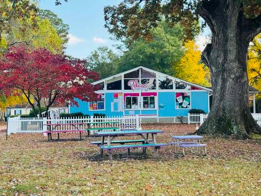 685 N Jeff Davis Drive, Fayetteville, GA 30214 - Photo 29