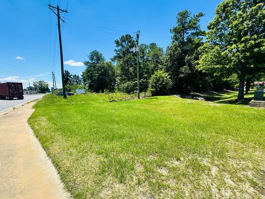  South Highway 441, Dublin, GA 31021 - Photo 2