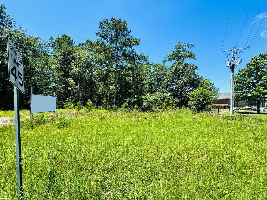  South Highway 441, Dublin, GA 31021 - Main Photo
