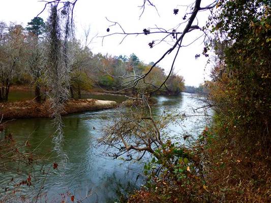  Sandy Creek Rd & Black Bear Rd, Toomsboro, GA 31090 - Photo 1
