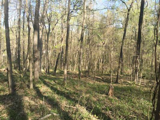 6964 Colaparchee Rd, Macon, GA 31220 - Photo 2
