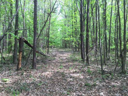 6964 Colaparchee Rd, Macon, GA 31220 - Photo 4