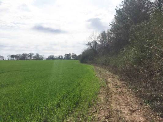  Hwy 49 Conn, Fort Valley, GA 31030 - Photo 3
