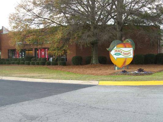 311 Hwy 49 N, Byron, GA 31008 - Photo 4
