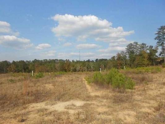 2340 Crissey Dr, Macon, GA 31211 - Photo 3