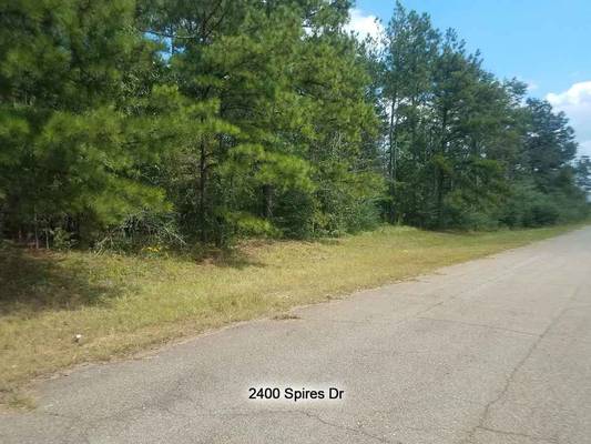 2400 Spires Dr, Macon, GA 31216 - Photo 2