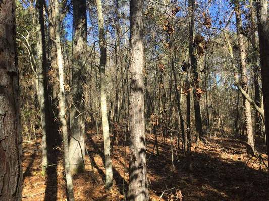 1640 & 1690 Johnson Rd, Macon, GA 31220 - Photo 2
