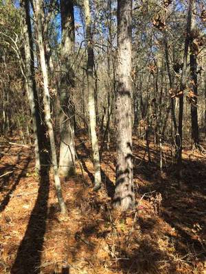 1640 & 1690 Johnson Rd, Macon, GA 31220 - Photo 3