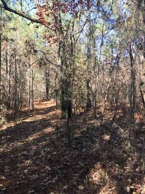 1640 & 1690 Johnson Rd, Macon, GA 31220 - Photo 4