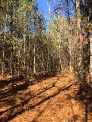 1640 & 1690 Johnson Rd, Macon, GA 31220 - Photo 5