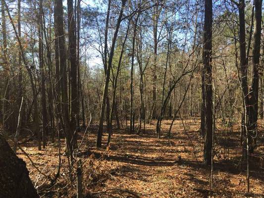 1640 & 1690 Johnson Rd, Macon, GA 31220 - Photo 8