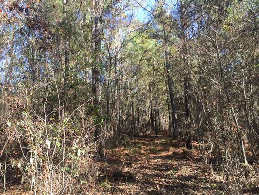 1640 & 1690 Johnson Rd, Macon, GA 31220 - Photo 10