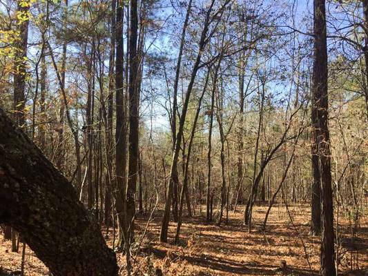 1640 & 1690 Johnson Rd, Macon, GA 31220 - Photo 11