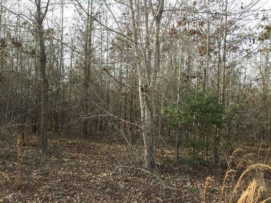 0 Waterfork Rd, Irwinton, GA 31042 - Photo 2