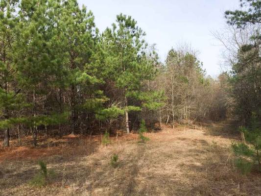 0 Waterfork Rd, Irwinton, GA 31042 - Photo 3
