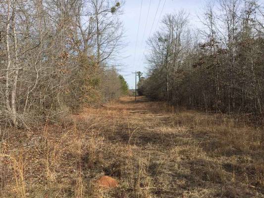 0 Waterfork Rd, Irwinton, GA 31042 - Photo 6