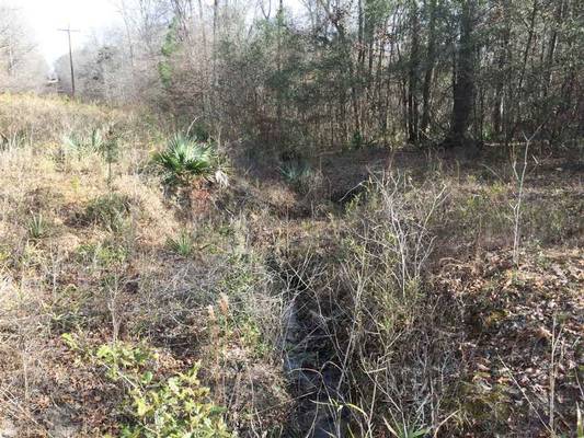 0 Waterfork Rd, Irwinton, GA 31042 - Photo 7