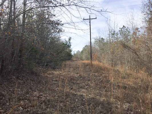 0 Waterfork Rd, Irwinton, GA 31042 - Photo 12