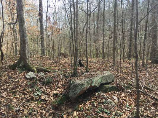 0 Roberts Farm Rd, Forsyth, GA 31029 - Photo 3