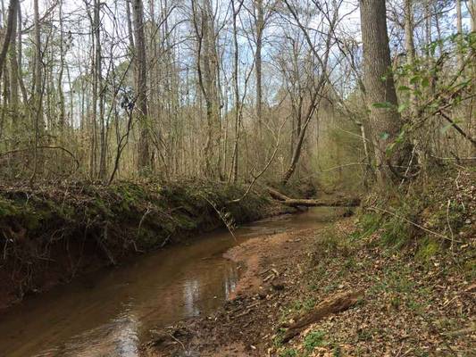 0 Roberts Farm Rd, Forsyth, GA 31029 - Photo 5