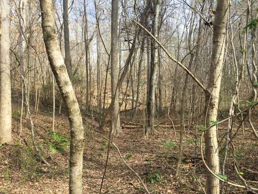 0 Roberts Farm Rd, Forsyth, GA 31029 - Photo 6