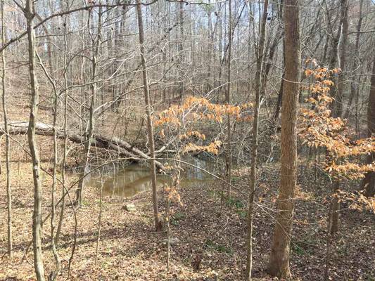 0 Roberts Farm Rd, Forsyth, GA 31029 - Photo 7