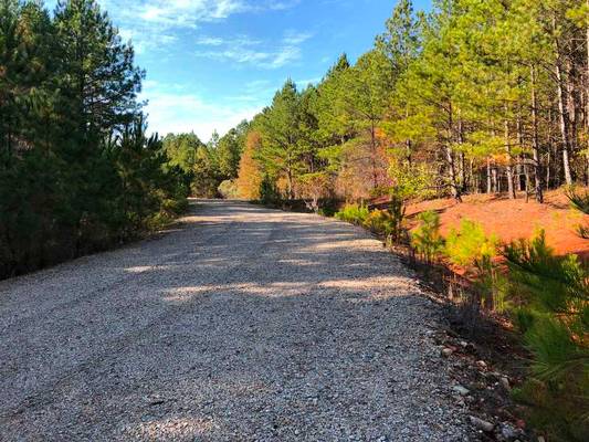  Hwy 83, Monticello, GA 31064 - Photo 2