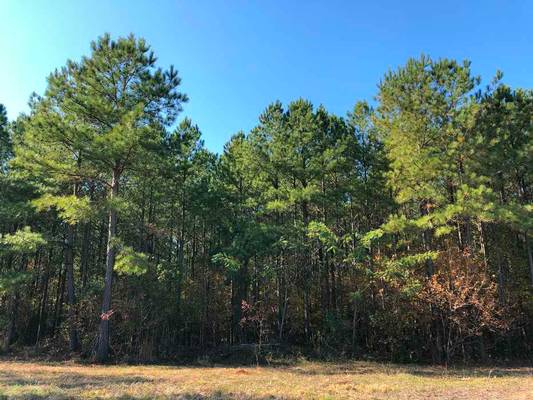  Hwy 83, Monticello, GA 31064 - Photo 3
