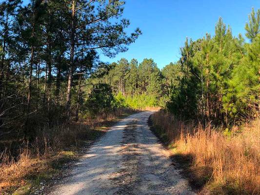 386 Nelson Rd NW, Milledgeville, GA 31061 - Photo 3