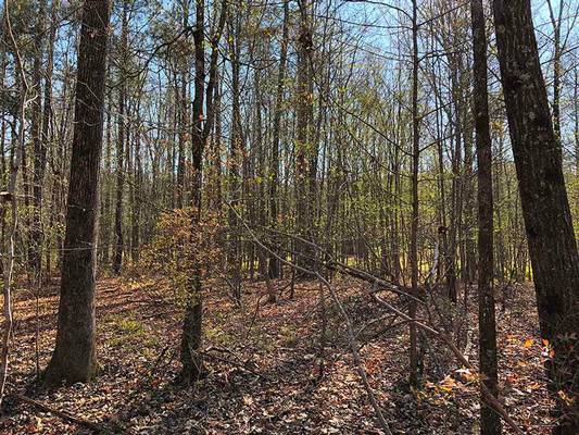 386 Nelson Rd NW, Milledgeville, GA 31061 - Photo 4
