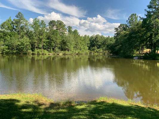 340 Sparta Highway NE, Milledgeville, GA 31061 - Photo 2